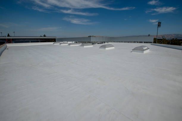 Best 4 Ply Roofing  in Findlay, OH