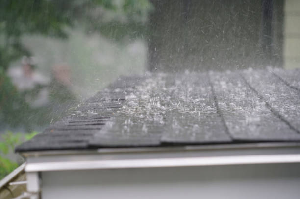 Best Storm Damage Roof Repair  in Findlay, OH