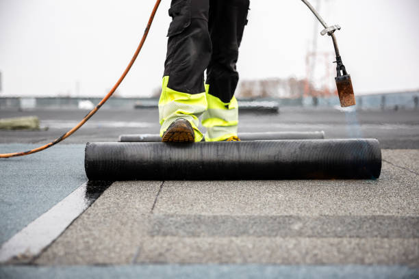 Best Asphalt Shingle Roofing  in Findlay, OH
